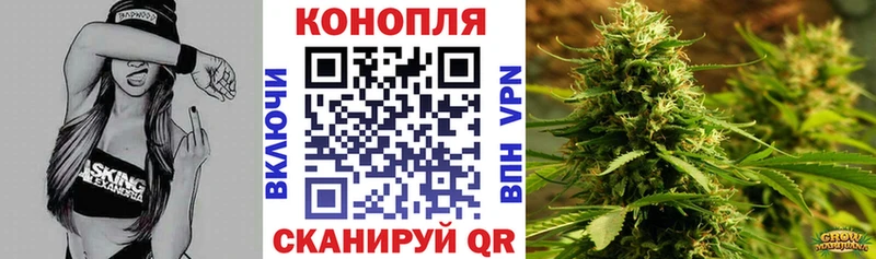 Где купить Кондопога MEGA ССЫЛКА  МЕФ  ГАШИШ  APVP 