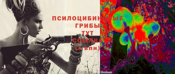 тгк Алексин