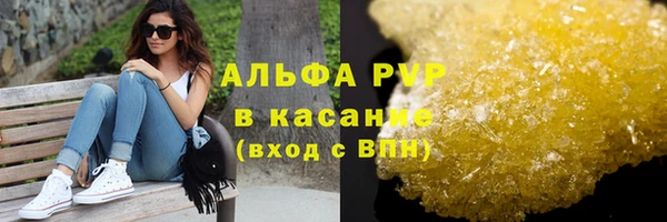 PSILOCYBIN Покачи